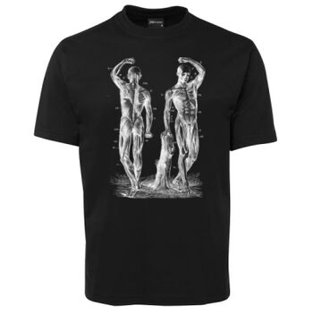 Human Anatomy Thumbnail