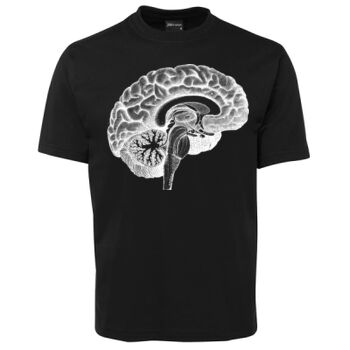 Human Anatomy Thumbnail