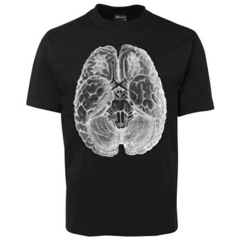 Human Anatomy Thumbnail