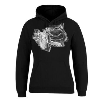 Human Anatomy Thumbnail