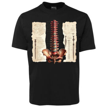 Human Anatomy Thumbnail