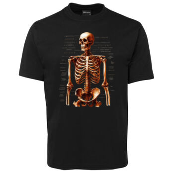 Human Anatomy Thumbnail