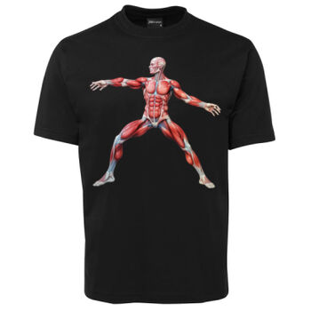 Human Anatomy Thumbnail