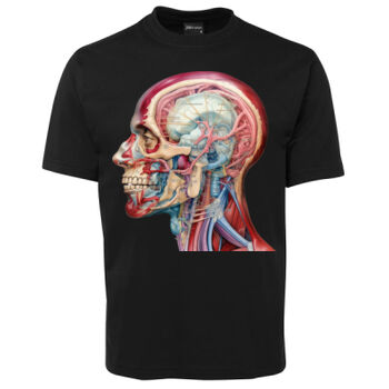 Human Anatomy Thumbnail