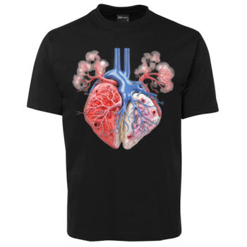 Human Anatomy Thumbnail