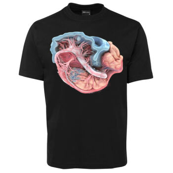 Human Anatomy Thumbnail