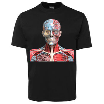 Human Anatomy Thumbnail