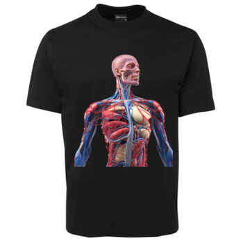 Human Anatomy Thumbnail