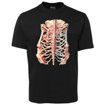 Human Anatomy Thumbnail