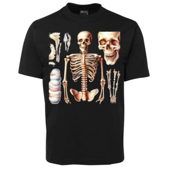 Human Anatomy Thumbnail